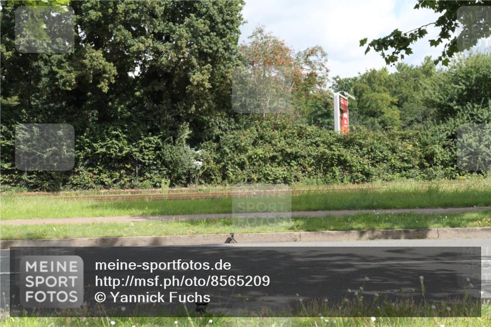10.08.2025 - GEWOBA Citytriathlon Bremen Yannick Fuchs http://msf.ph/oto/8565209 10.08.2025 12:01:24 Radfahren  meine-sportfotos.de