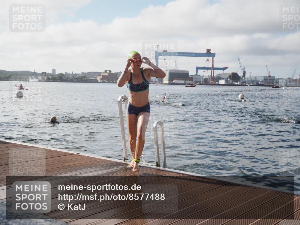17.08.2025 - KN Förde Triathlon 2025 KatJ http://msf.ph/oto/8577488 17.08.2025 09:17:12 Schwimmen 158, 169, 204, 158, 169, 204 meine-sportfotos.de