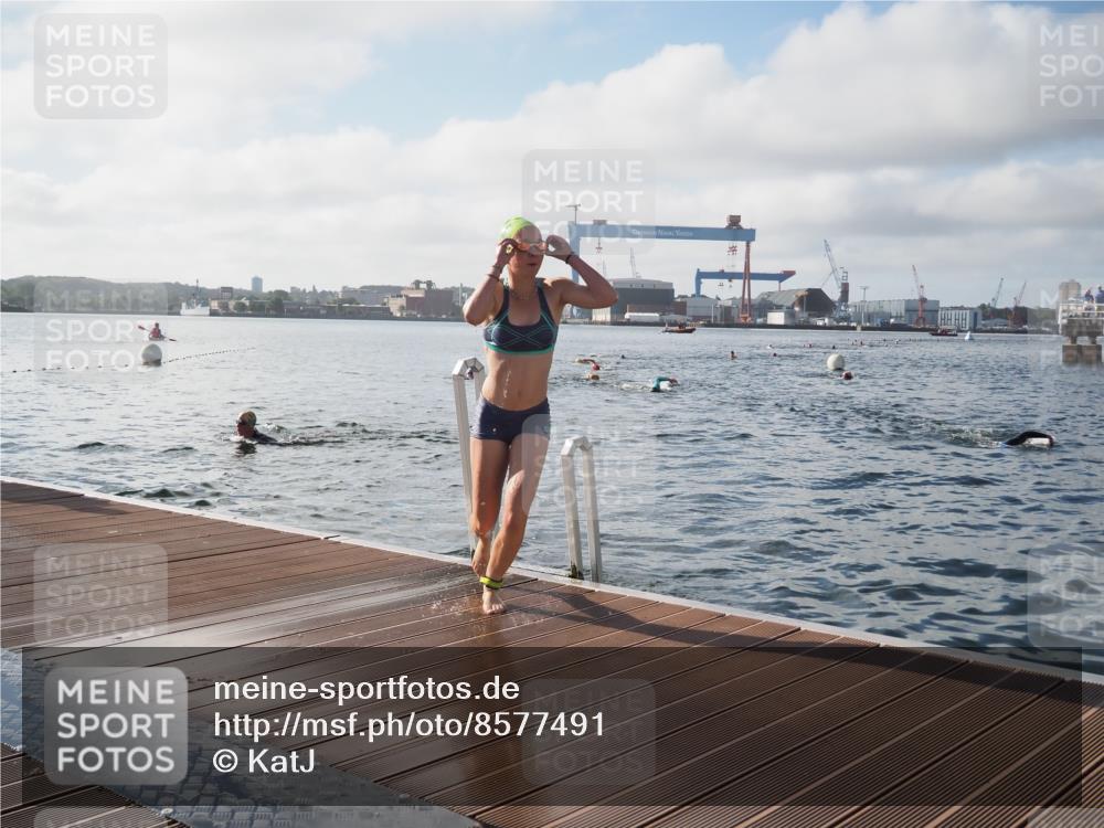 17.08.2025 - KN Förde Triathlon 2025 KatJ http://msf.ph/oto/8577491 17.08.2025 09:17:12 Schwimmen 158, 169, 204, 158, 169, 204 meine-sportfotos.de