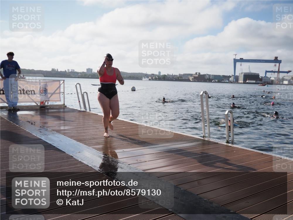 17.08.2025 - KN Förde Triathlon 2025 KatJ http://msf.ph/oto/8579130 17.08.2025 09:20:19 Schwimmen 179, 196, 211, 179, 196 meine-sportfotos.de