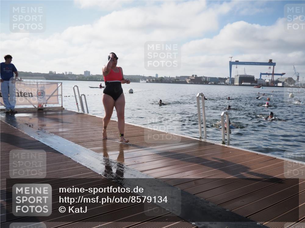 17.08.2025 - KN Förde Triathlon 2025 KatJ http://msf.ph/oto/8579134 17.08.2025 09:20:19 Schwimmen 179, 196, 211, 179, 196 meine-sportfotos.de