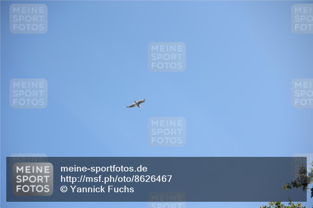 17.08.2025 - KN Förde Triathlon 2025 Yannick Fuchs http://msf.ph/oto/8626467 17.08.2025 13:03:55 Radfahren 401, 409, 411, 412, 460, 461, 467, 401 meine-sportfotos.de