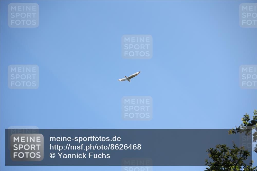 17.08.2025 - KN Förde Triathlon 2025 Yannick Fuchs http://msf.ph/oto/8626468 17.08.2025 13:03:55 Radfahren 401, 409, 411, 412, 460, 461, 467, 401 meine-sportfotos.de