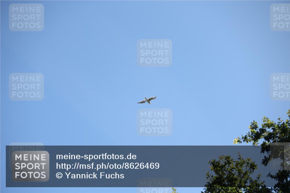 17.08.2025 - KN Förde Triathlon 2025 Yannick Fuchs http://msf.ph/oto/8626469 17.08.2025 13:03:55 Radfahren 401, 409, 411, 412, 460, 461, 467, 401 meine-sportfotos.de