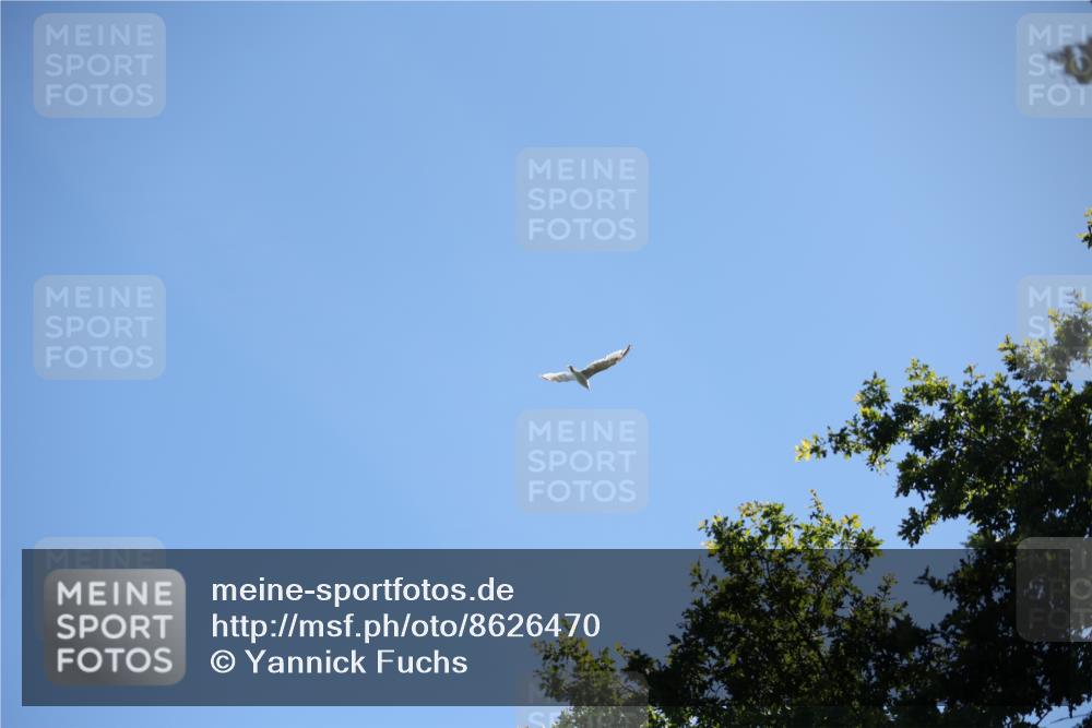 17.08.2025 - KN Förde Triathlon 2025 Yannick Fuchs http://msf.ph/oto/8626470 17.08.2025 13:03:56 Radfahren 409, 411, 412, 460, 461, 467, 523, 401, 467 meine-sportfotos.de