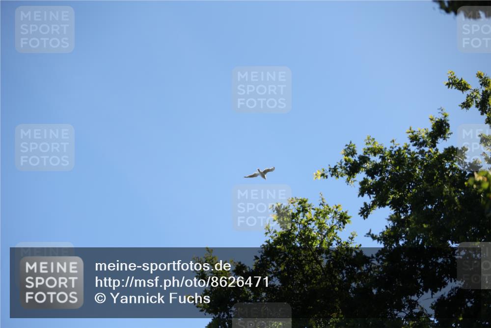 17.08.2025 - KN Förde Triathlon 2025 Yannick Fuchs http://msf.ph/oto/8626471 17.08.2025 13:03:56 Radfahren 409, 411, 412, 460, 461, 467, 523, 401, 467 meine-sportfotos.de