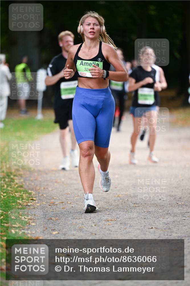 31.08.2025 - 21. Blankeneser Heldenlauf Dr. Thomas Lammeyer http://msf.ph/oto/8636066 31.08.2025 10:42:20 Laufen 32 meine-sportfotos.de