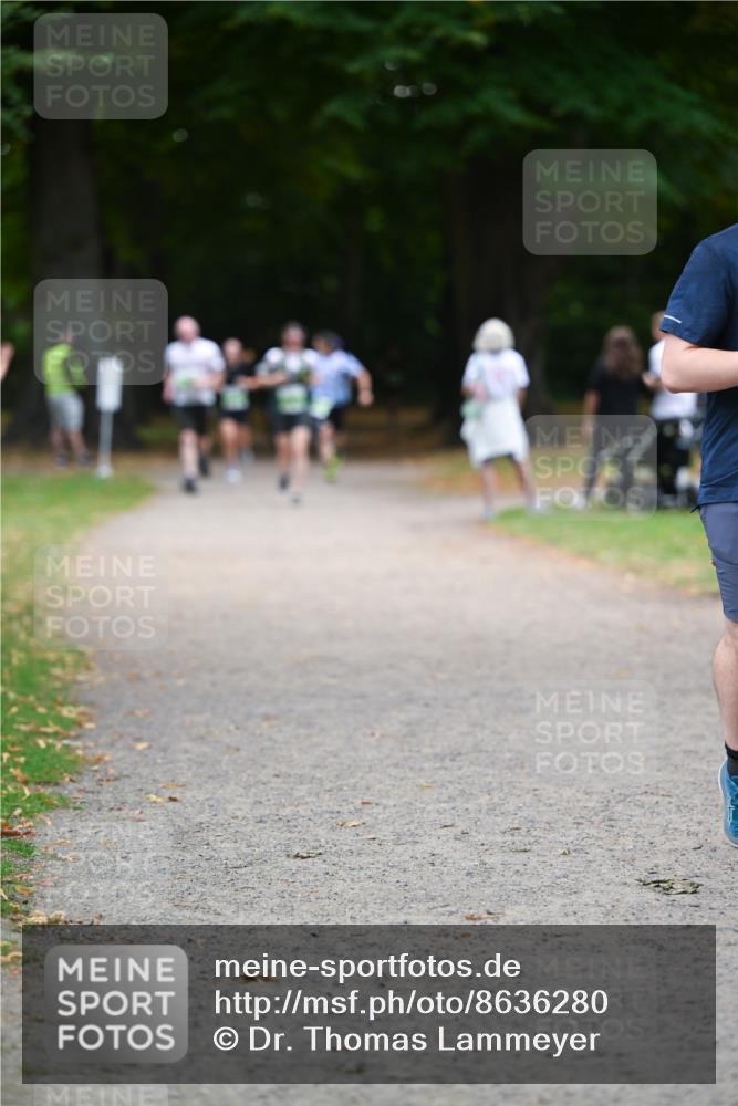 31.08.2025 - 21. Blankeneser Heldenlauf Dr. Thomas Lammeyer http://msf.ph/oto/8636280 31.08.2025 10:43:22 Laufen  meine-sportfotos.de