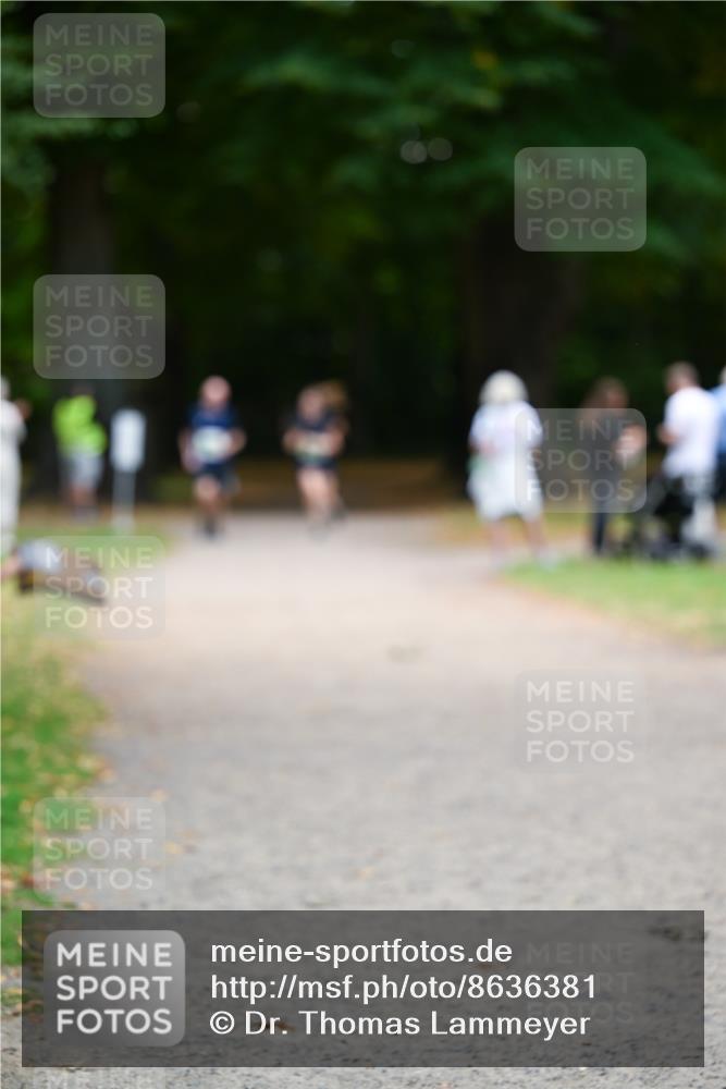 31.08.2025 - 21. Blankeneser Heldenlauf Dr. Thomas Lammeyer http://msf.ph/oto/8636381 31.08.2025 10:43:48 Laufen  meine-sportfotos.de