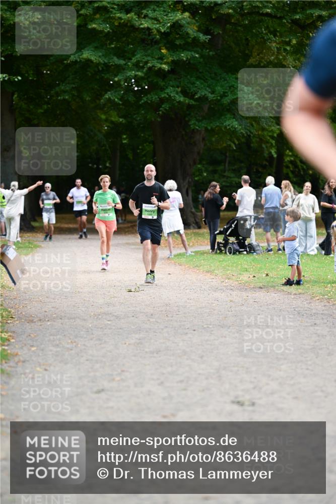 31.08.2025 - 21. Blankeneser Heldenlauf Dr. Thomas Lammeyer http://msf.ph/oto/8636488 31.08.2025 10:44:23 Laufen  meine-sportfotos.de