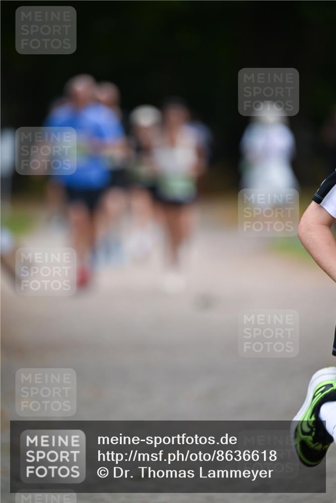 31.08.2025 - 21. Blankeneser Heldenlauf Dr. Thomas Lammeyer http://msf.ph/oto/8636618 31.08.2025 10:44:51 Laufen  meine-sportfotos.de