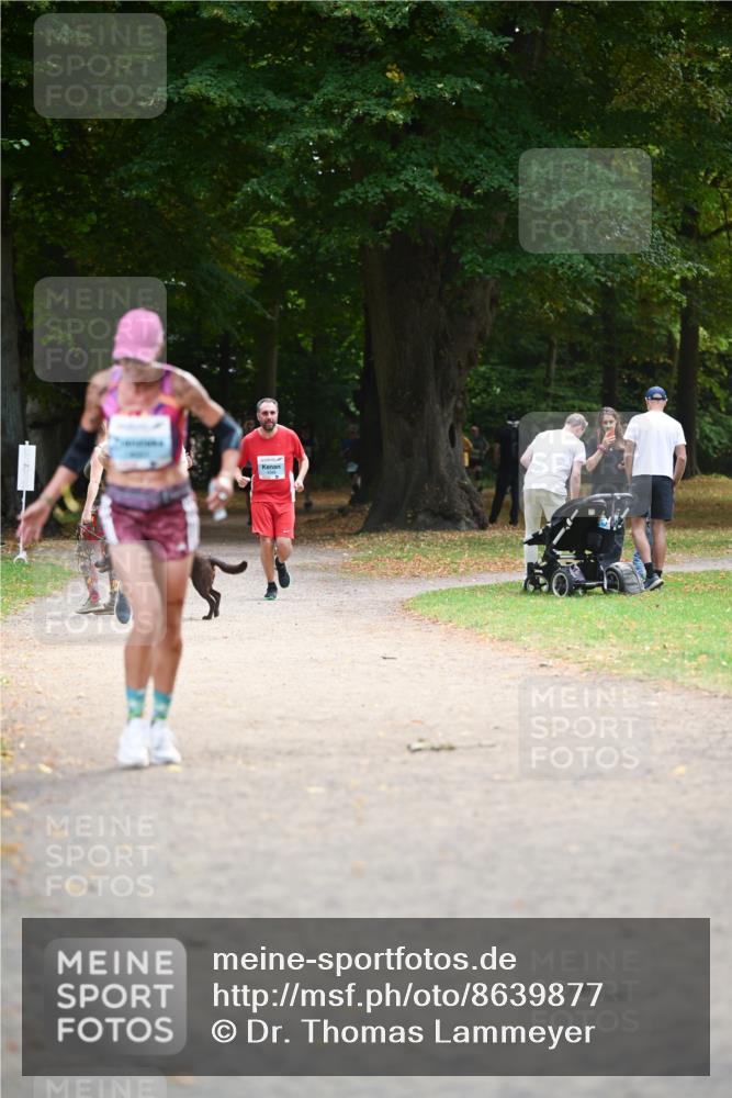 31.08.2025 - 21. Blankeneser Heldenlauf Dr. Thomas Lammeyer http://msf.ph/oto/8639877 31.08.2025 10:58:37 Laufen 4348 meine-sportfotos.de
