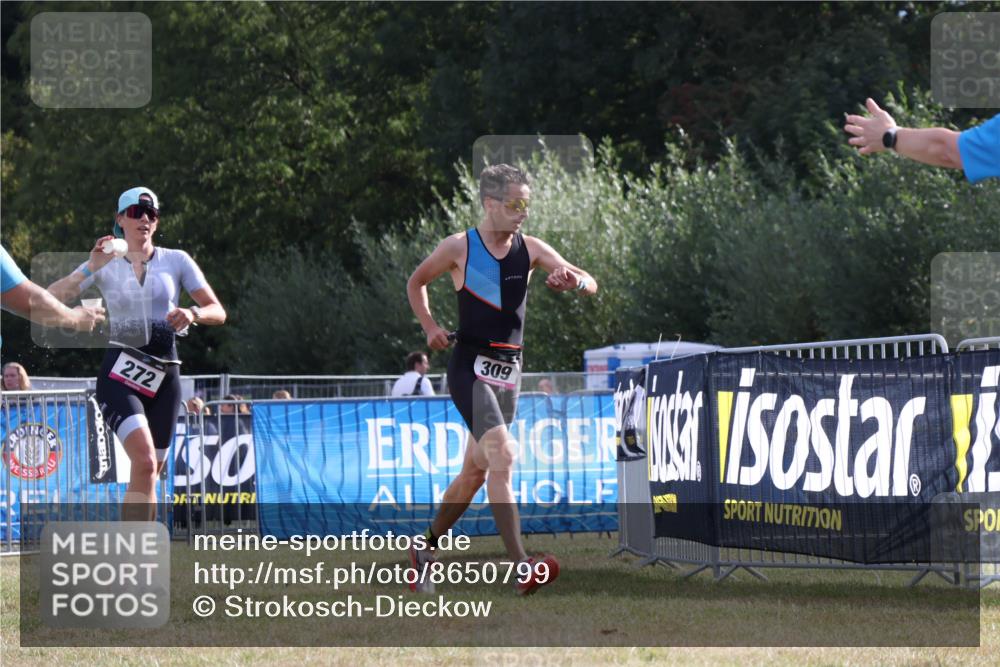 31.08.2025 - Elbe Triathlon Hamburg Strokosch-Dieckow http://msf.ph/oto/8650799 31.08.2025 09:50:42 Laufen 272, 50, 309 meine-sportfotos.de