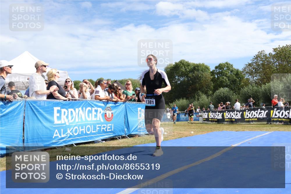 31.08.2025 - Elbe Triathlon Hamburg Strokosch-Dieckow http://msf.ph/oto/8655319 31.08.2025 11:47:05 Ziel 681, 1245, 1263, 1381, 1439 meine-sportfotos.de