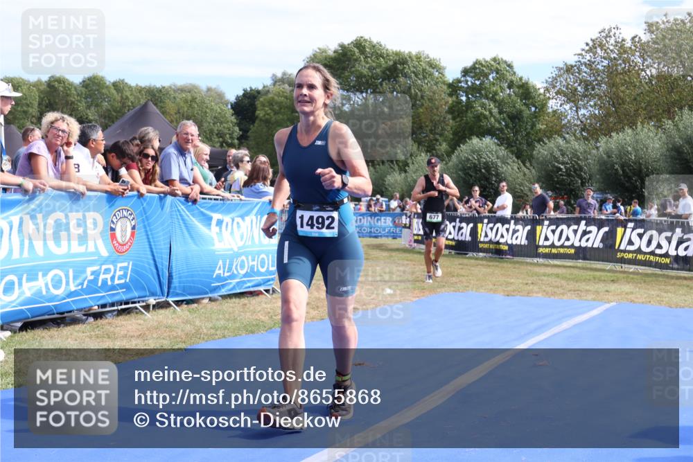 31.08.2025 - Elbe Triathlon Hamburg Strokosch-Dieckow http://msf.ph/oto/8655868 31.08.2025 11:55:16 Ziel 677, 1492, 1609 meine-sportfotos.de