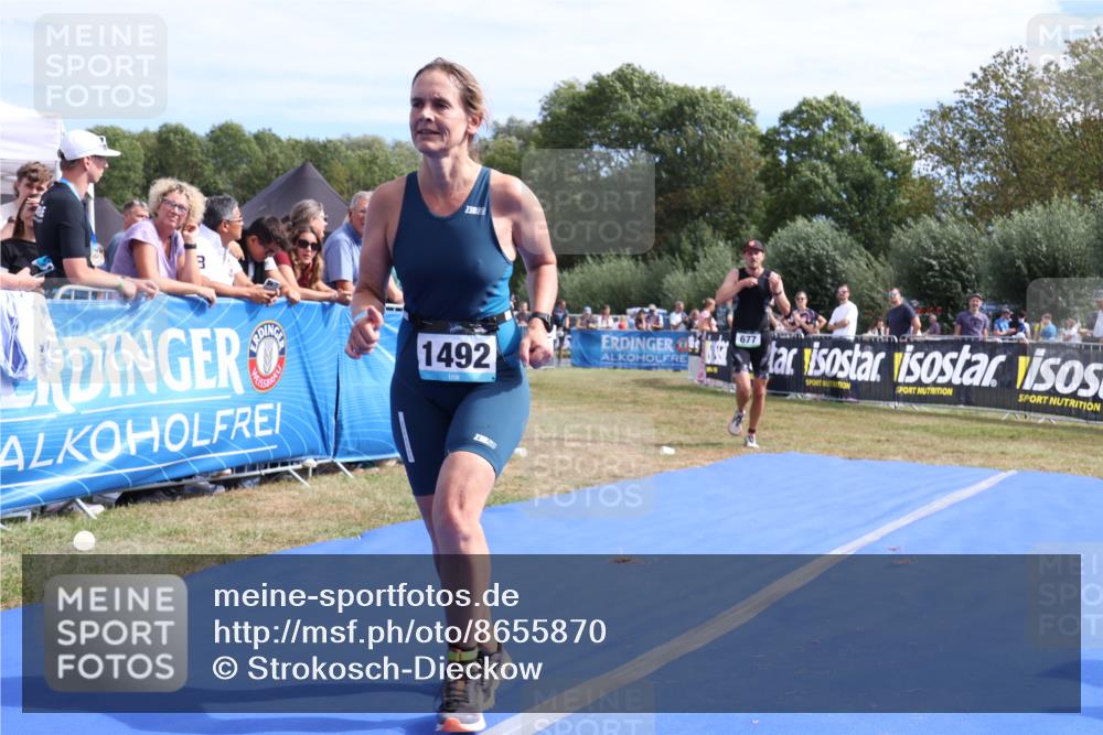 31.08.2025 - Elbe Triathlon Hamburg Strokosch-Dieckow http://msf.ph/oto/8655870 31.08.2025 11:55:17 Ziel 677, 1492, 1609 meine-sportfotos.de