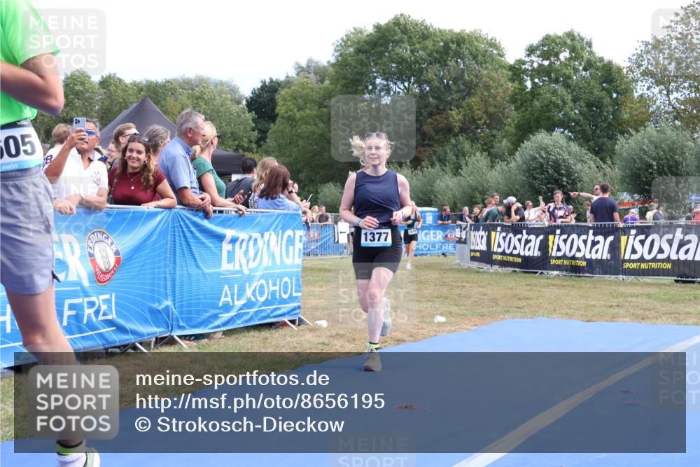 31.08.2025 - Elbe Triathlon Hamburg Strokosch-Dieckow http://msf.ph/oto/8656195 31.08.2025 11:59:46 Ziel 1377, 1430, 1530, 1610 meine-sportfotos.de
