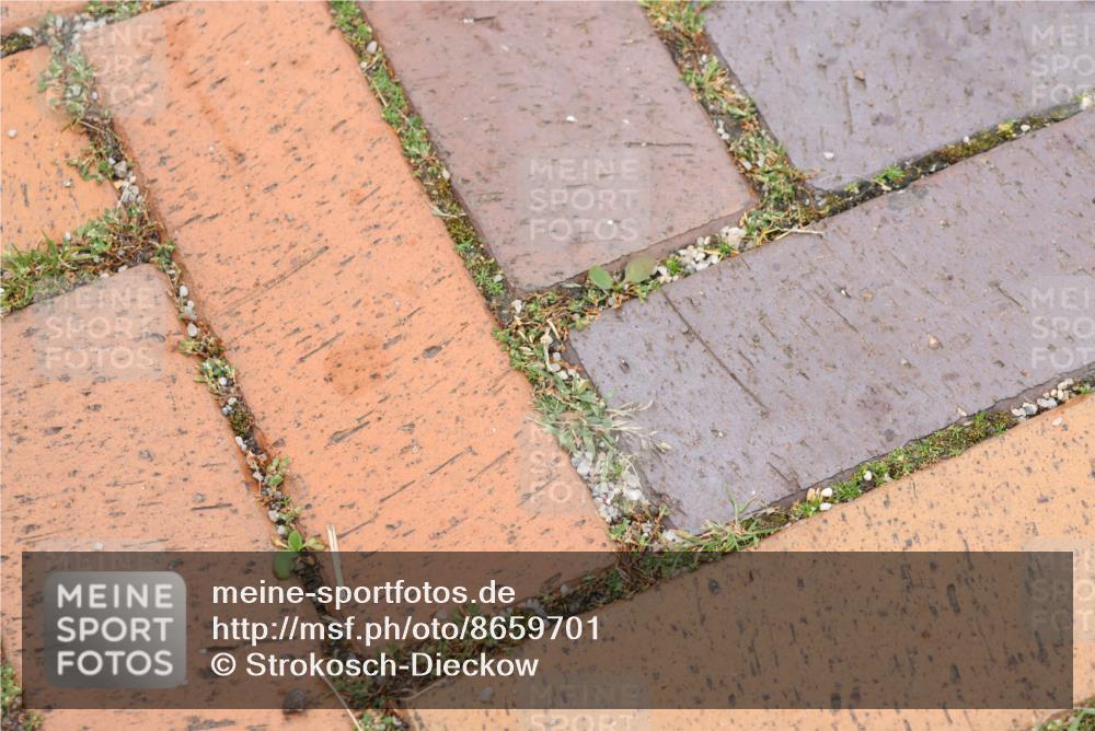 31.08.2025 - 21. Blankeneser Heldenlauf Strokosch-Dieckow http://msf.ph/oto/8659701 31.08.2025 11:46:16 Ziel  meine-sportfotos.de