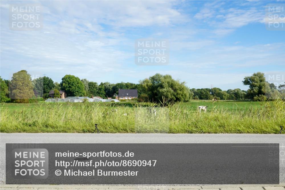 31.08.2025 - Elbe Triathlon Hamburg Michael Burmester http://msf.ph/oto/8690947 31.08.2025 09:50:26 Radfahren 429, 436, 480, 695, 847 meine-sportfotos.de