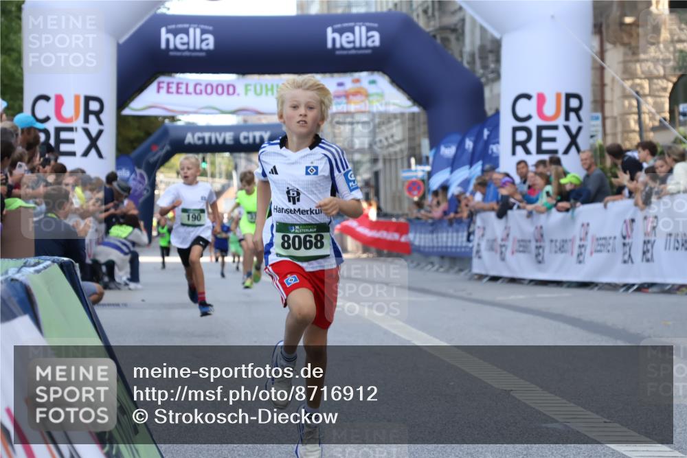 07.09.2025 - BARMER Alsterlauf Strokosch-Dieckow http://msf.ph/oto/8716912 07.09.2025 10:50:22 Ziel 165, 190, 231, 8068 meine-sportfotos.de
