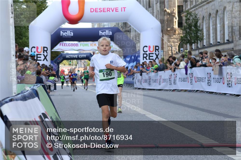 07.09.2025 - BARMER Alsterlauf Strokosch-Dieckow http://msf.ph/oto/8716934 07.09.2025 10:50:26 Ziel 190, 231, 8068, 8448 meine-sportfotos.de