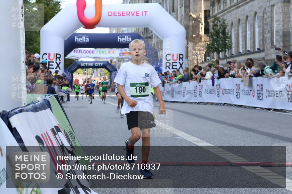 07.09.2025 - BARMER Alsterlauf Strokosch-Dieckow http://msf.ph/oto/8716937 07.09.2025 10:50:27 Ziel 190, 231, 260, 8068, 8448 meine-sportfotos.de