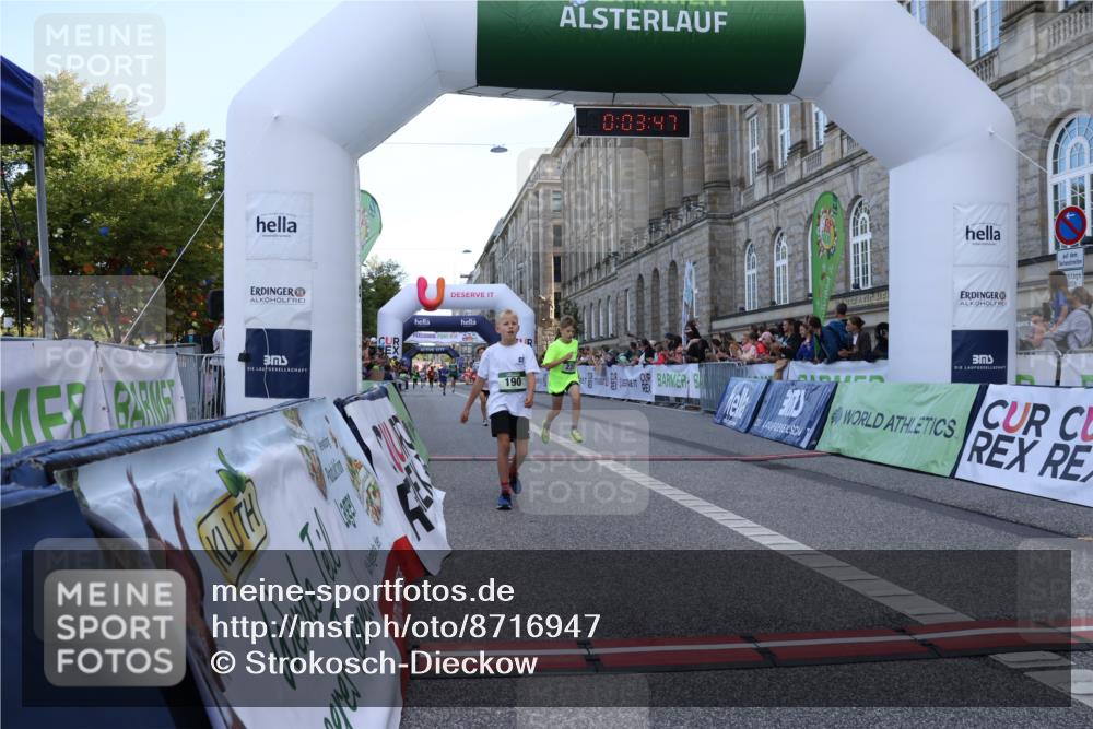 07.09.2025 - BARMER Alsterlauf Strokosch-Dieckow http://msf.ph/oto/8716947 07.09.2025 10:50:28 Ziel 190, 231, 260, 8068, 8448 meine-sportfotos.de