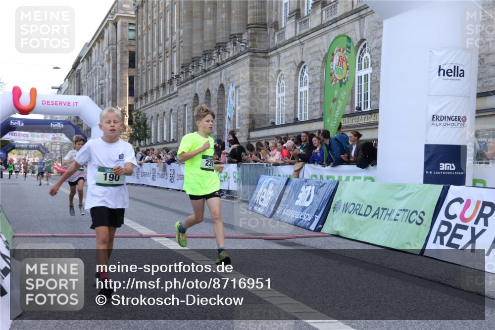 07.09.2025 - BARMER Alsterlauf Strokosch-Dieckow http://msf.ph/oto/8716951 07.09.2025 10:50:29 Ziel 190, 231, 260, 8068, 8448 meine-sportfotos.de