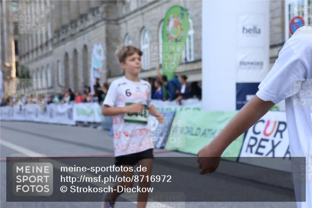 07.09.2025 - BARMER Alsterlauf Strokosch-Dieckow http://msf.ph/oto/8716972 07.09.2025 10:50:32 Ziel 166, 190, 231, 260, 291, 451, 8448 meine-sportfotos.de
