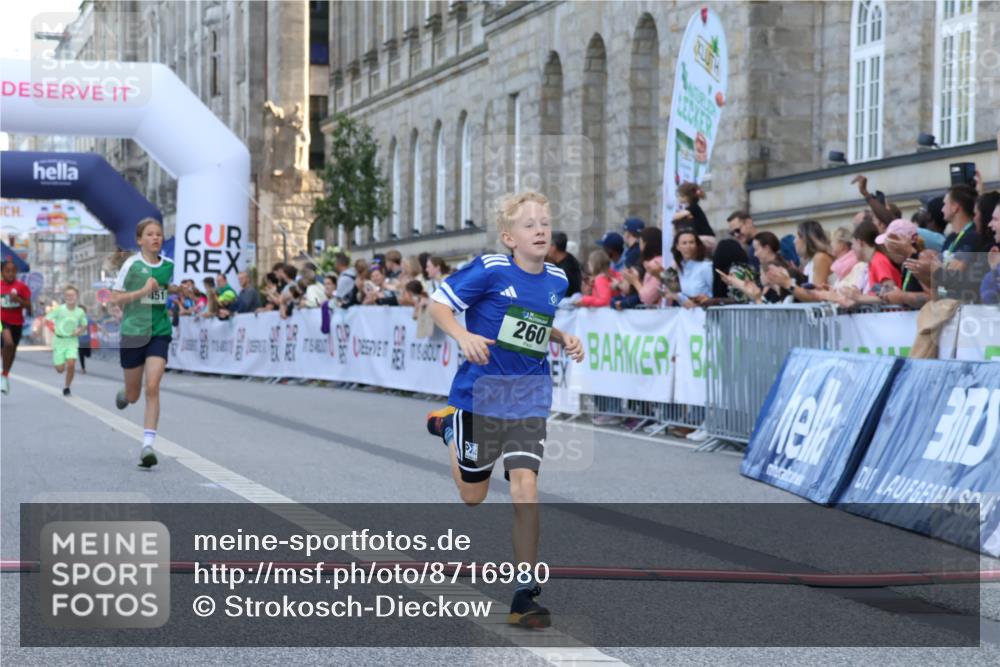 07.09.2025 - BARMER Alsterlauf Strokosch-Dieckow http://msf.ph/oto/8716980 07.09.2025 10:50:34 Ziel 166, 231, 260, 291, 308, 434, 451, 8448 meine-sportfotos.de