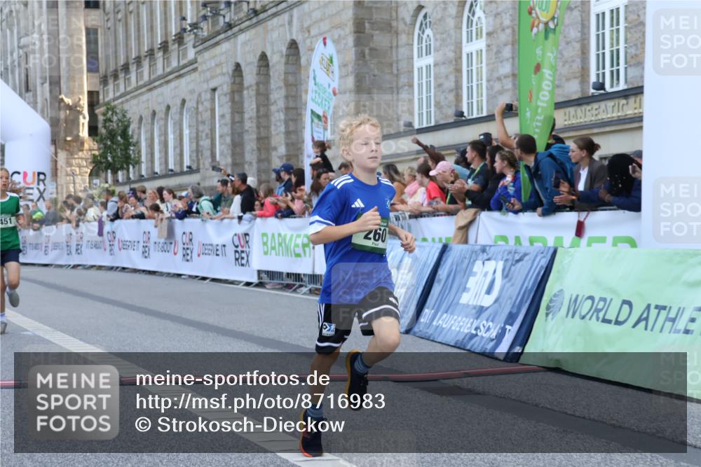 07.09.2025 - BARMER Alsterlauf Strokosch-Dieckow http://msf.ph/oto/8716983 07.09.2025 10:50:34 Ziel 166, 231, 260, 291, 308, 434, 451, 8448 meine-sportfotos.de