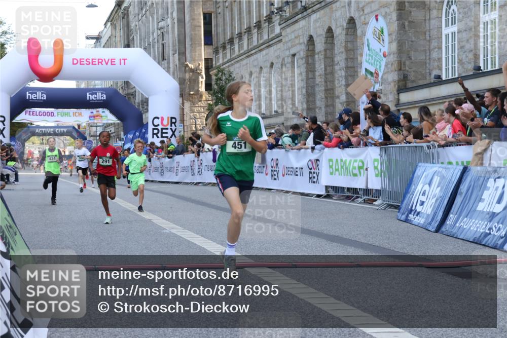 07.09.2025 - BARMER Alsterlauf Strokosch-Dieckow http://msf.ph/oto/8716995 07.09.2025 10:50:36 Ziel 166, 260, 279, 283, 291, 308, 310, 434, 451 meine-sportfotos.de