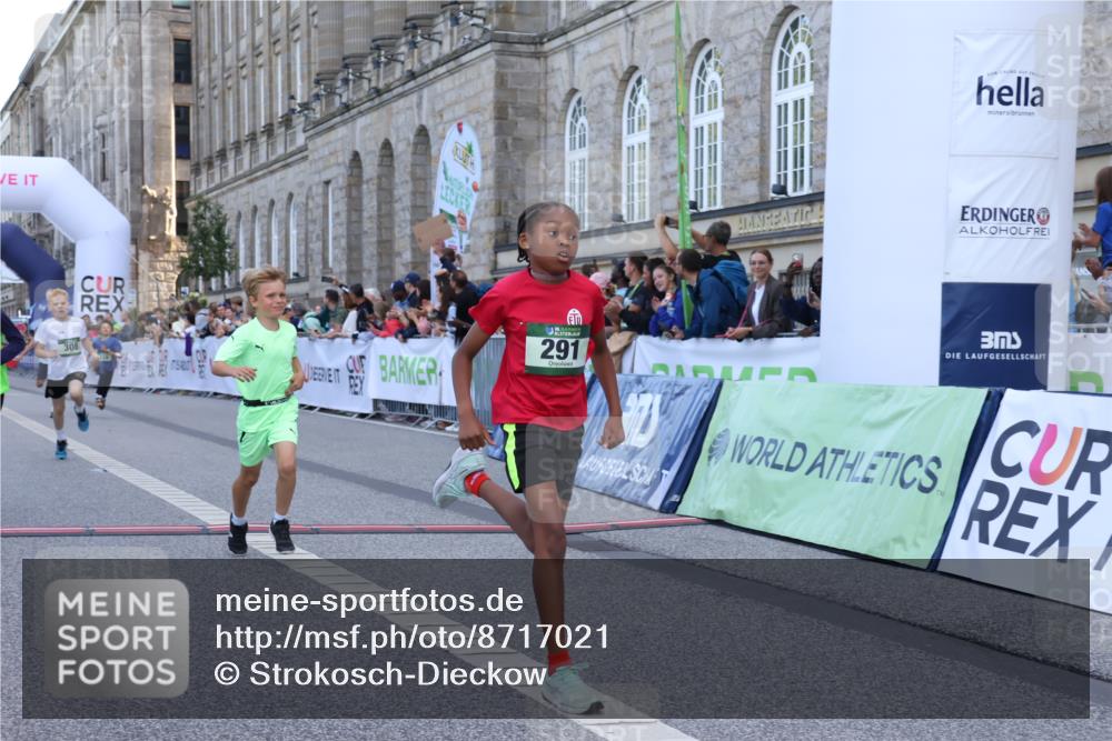 07.09.2025 - BARMER Alsterlauf Strokosch-Dieckow http://msf.ph/oto/8717021 07.09.2025 10:50:39 Ziel 166, 260, 279, 283, 291, 308, 310, 434, 451 meine-sportfotos.de