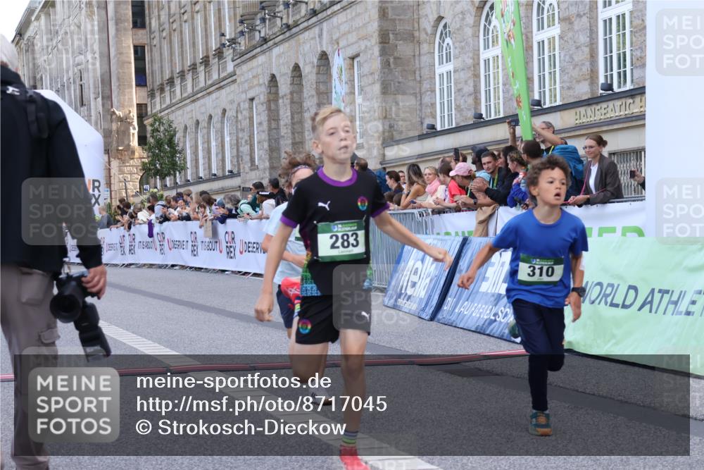 07.09.2025 - BARMER Alsterlauf Strokosch-Dieckow http://msf.ph/oto/8717045 07.09.2025 10:50:43 Ziel 166, 270, 279, 283, 291, 308, 310, 434, 450 meine-sportfotos.de