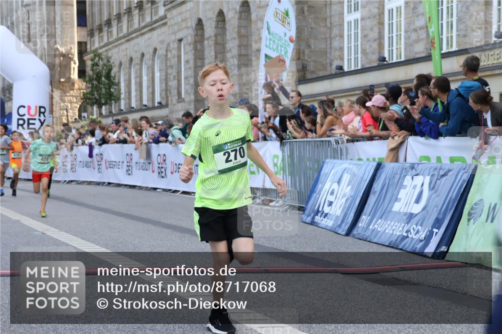 07.09.2025 - BARMER Alsterlauf Strokosch-Dieckow http://msf.ph/oto/8717068 07.09.2025 10:50:49 Ziel 151, 268, 270, 313, 408, 438, 444, 450 meine-sportfotos.de