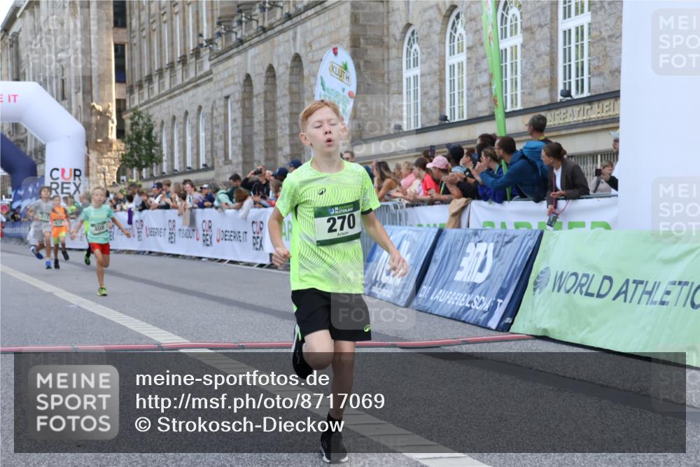07.09.2025 - BARMER Alsterlauf Strokosch-Dieckow http://msf.ph/oto/8717069 07.09.2025 10:50:50 Ziel 151, 268, 270, 313, 408, 438, 444, 450 meine-sportfotos.de