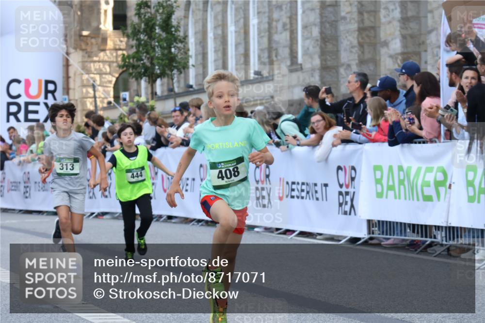 07.09.2025 - BARMER Alsterlauf Strokosch-Dieckow http://msf.ph/oto/8717071 07.09.2025 10:50:51 Ziel 151, 268, 270, 313, 408, 438, 444, 450 meine-sportfotos.de