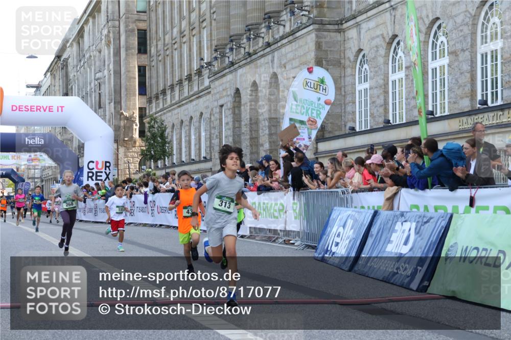 07.09.2025 - BARMER Alsterlauf Strokosch-Dieckow http://msf.ph/oto/8717077 07.09.2025 10:50:53 Ziel 151, 167, 268, 270, 313, 407, 408, 438, 444 meine-sportfotos.de