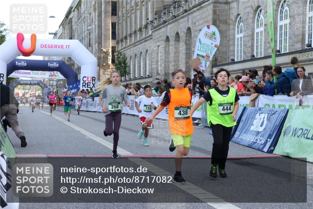 07.09.2025 - BARMER Alsterlauf Strokosch-Dieckow http://msf.ph/oto/8717082 07.09.2025 10:50:55 Ziel 151, 167, 196, 268, 313, 407, 408, 438, 441, 444 meine-sportfotos.de