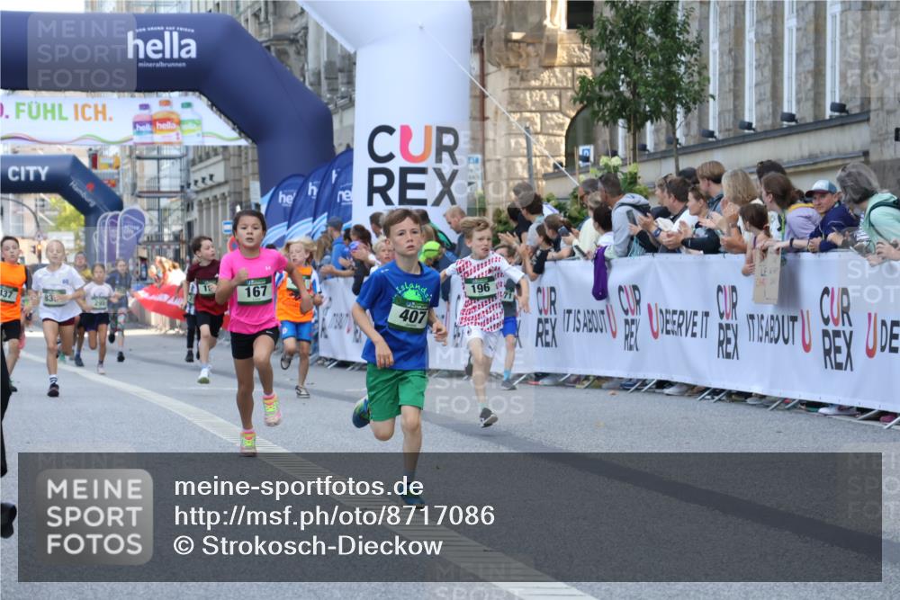 07.09.2025 - BARMER Alsterlauf Strokosch-Dieckow http://msf.ph/oto/8717086 07.09.2025 10:50:57 Ziel 151, 157, 167, 196, 268, 313, 407, 408, 437, 438, 441, 444, 8071, 8073, 8381 meine-sportfotos.de