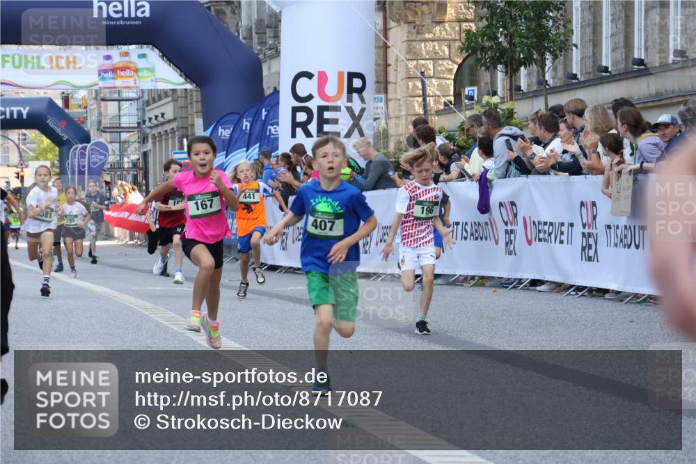 07.09.2025 - BARMER Alsterlauf Strokosch-Dieckow http://msf.ph/oto/8717087 07.09.2025 10:50:57 Ziel 151, 157, 167, 196, 268, 313, 407, 408, 437, 438, 441, 444, 8071, 8073, 8381 meine-sportfotos.de