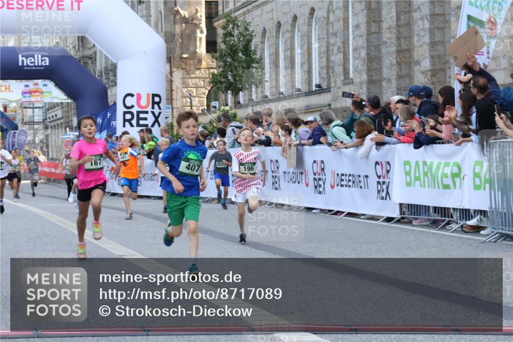 07.09.2025 - BARMER Alsterlauf Strokosch-Dieckow http://msf.ph/oto/8717089 07.09.2025 10:50:58 Ziel 151, 157, 167, 196, 268, 313, 407, 437, 438, 441, 444, 8071, 8073, 8381 meine-sportfotos.de
