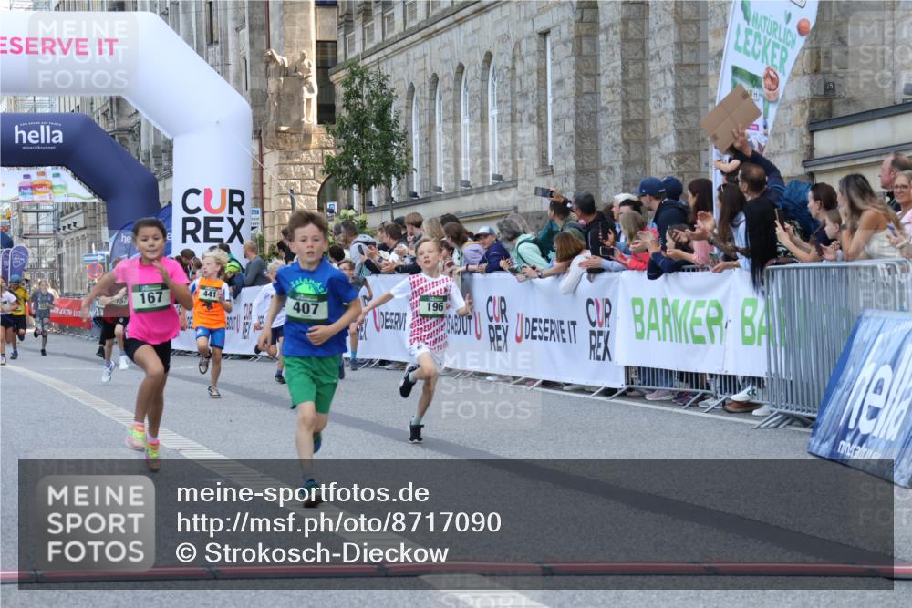 07.09.2025 - BARMER Alsterlauf Strokosch-Dieckow http://msf.ph/oto/8717090 07.09.2025 10:50:58 Ziel 151, 157, 167, 196, 268, 313, 407, 437, 438, 441, 444, 8071, 8073, 8381 meine-sportfotos.de