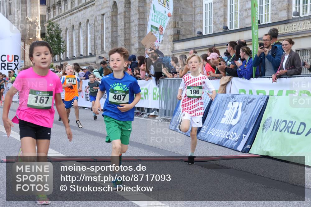 07.09.2025 - BARMER Alsterlauf Strokosch-Dieckow http://msf.ph/oto/8717093 07.09.2025 10:51:00 Ziel 151, 157, 167, 193, 196, 251, 268, 295, 407, 437, 438, 441, 444, 8071, 8073, 8381 meine-sportfotos.de