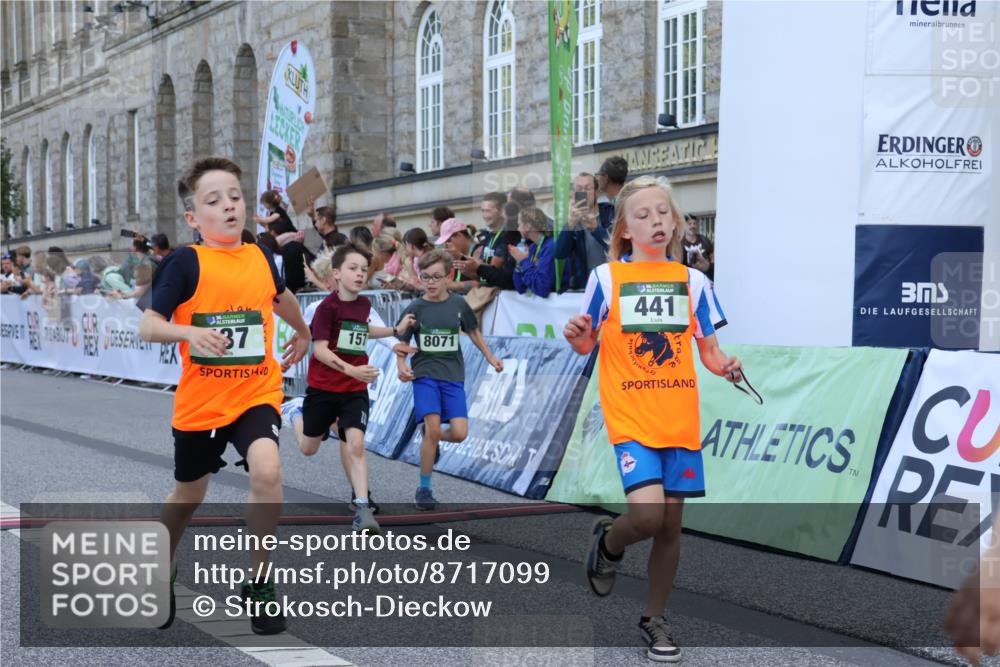 07.09.2025 - BARMER Alsterlauf Strokosch-Dieckow http://msf.ph/oto/8717099 07.09.2025 10:51:03 Ziel 157, 162, 167, 171, 193, 196, 251, 295, 320, 407, 437, 441, 8071, 8073, 8194, 8233, 8381 meine-sportfotos.de