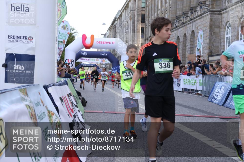 07.09.2025 - BARMER Alsterlauf Strokosch-Dieckow http://msf.ph/oto/8717134 07.09.2025 10:51:18 Ziel 189, 211, 303, 309, 318, 319, 335, 336, 388, 430, 431, 432, 449, 8367 meine-sportfotos.de