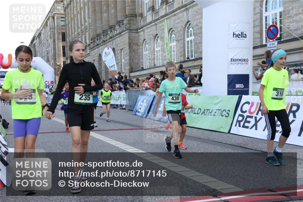 07.09.2025 - BARMER Alsterlauf Strokosch-Dieckow http://msf.ph/oto/8717145 07.09.2025 10:51:24 Ziel 189, 211, 261, 303, 309, 314, 319, 327, 380, 388, 399, 420, 427, 430, 432, 8122, 8367 meine-sportfotos.de