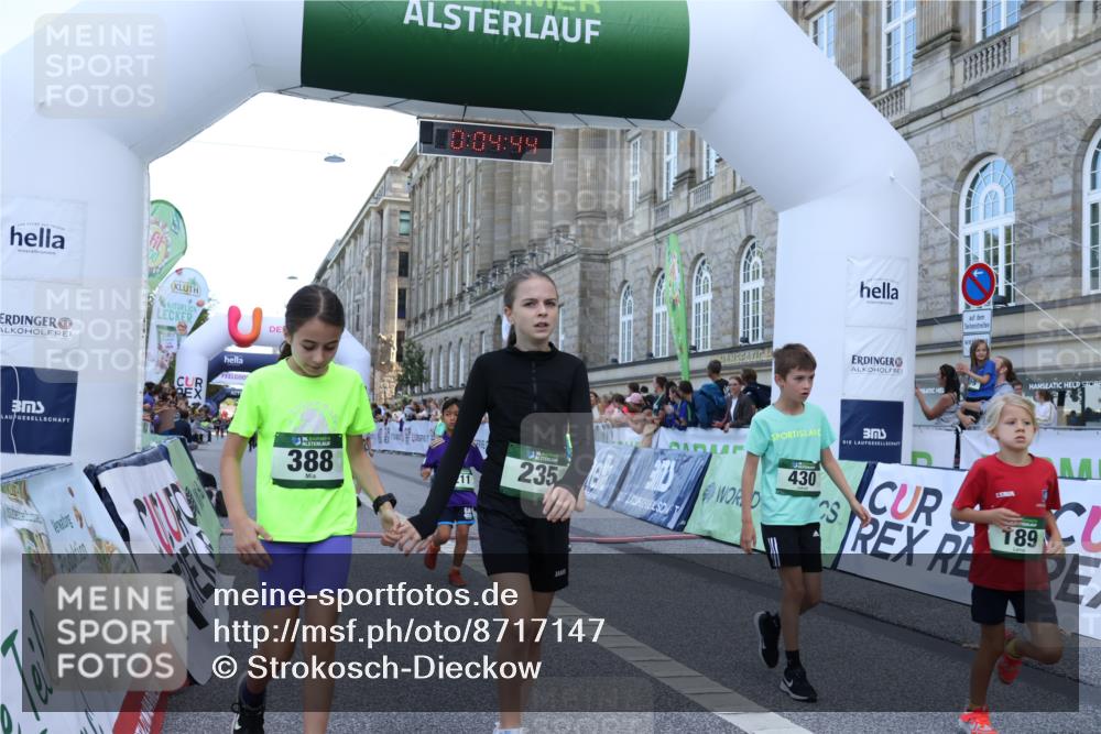 07.09.2025 - BARMER Alsterlauf Strokosch-Dieckow http://msf.ph/oto/8717147 07.09.2025 10:51:25 Ziel 189, 211, 261, 303, 309, 314, 319, 327, 380, 388, 391, 399, 420, 427, 430, 432, 433, 8122, 8188, 8189, 8209, 8367 meine-sportfotos.de