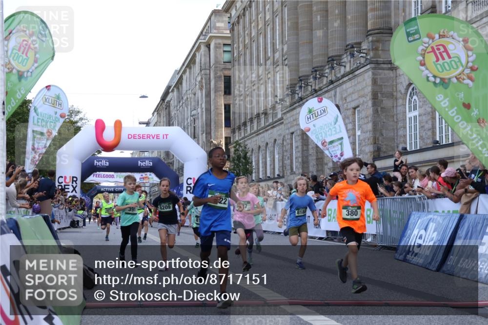 07.09.2025 - BARMER Alsterlauf Strokosch-Dieckow http://msf.ph/oto/8717151 07.09.2025 10:51:30 Ziel 152, 170, 211, 261, 303, 314, 322, 327, 343, 380, 391, 399, 420, 421, 422, 427, 433, 442, 452, 8122, 8135, 8188, 8189, 8209 meine-sportfotos.de