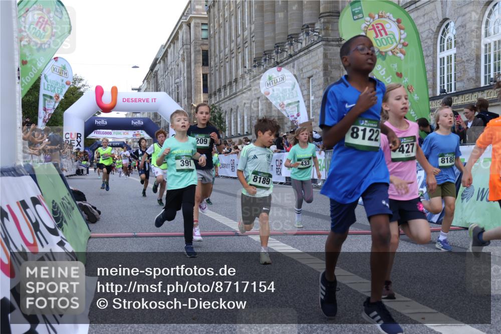 07.09.2025 - BARMER Alsterlauf Strokosch-Dieckow http://msf.ph/oto/8717154 07.09.2025 10:51:31 Ziel 152, 170, 261, 266, 314, 322, 327, 343, 380, 391, 399, 420, 421, 422, 427, 433, 442, 452, 8122, 8135, 8188, 8189, 8209 meine-sportfotos.de